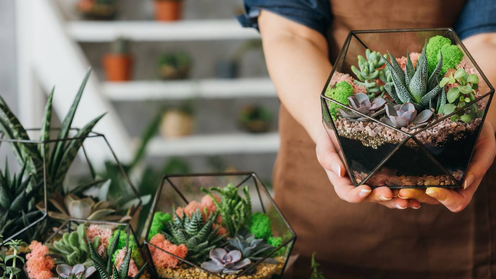 Gift Guide: Elevate Their Garden with This Essential Tool Set